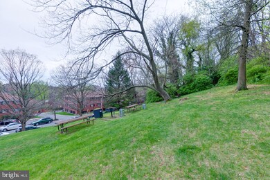 53 Skyhill Rd unit 102, Alexandria, VA 22314 - photo 6