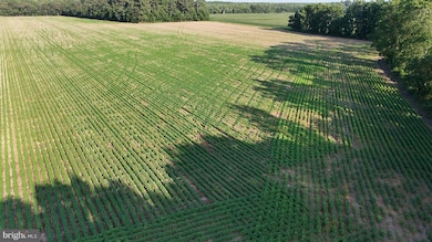 1.62 ACRES Russell Rd, Bridgeville, DE 19933 - photo 2