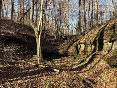 0 Pigpen Hollow Rd unit RTC3050203, Waynesboro, TN 38485 - photo 3