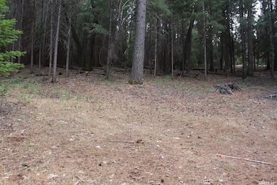 5511 Shooting Star Rd, Pollock Pines, CA 95726 - photo 2