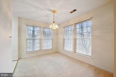 4406 Silverbrook Ln unit J103, Owings Mills, MD 21117 - photo 6