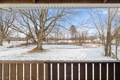 52273 Betts Rd, Wellington, OH 44090 - photo 4