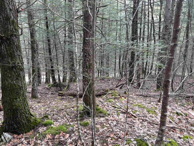 000 Grady Ln unit Lot 7, Hinsdale, NH 03451 - photo 6
