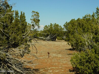 Sequoia Place Show Low, AZ, 85901