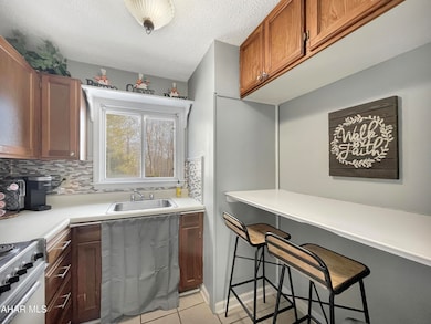 185 E Valley Point Ln unit B101, Claysburg, PA 16625 - photo 7