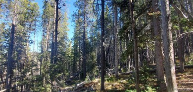 Lot 2999 & 2998 Drexler Place unit 2998,2999, Sangre de Cri, CO 81133 - photo 2