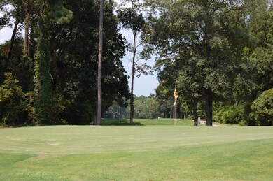 Birdie territory