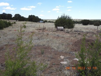 1C Tierra de Dios, Rowe, NM 87567 - photo 5