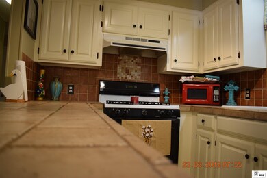 6319 Chris Rd, Bastrop, LA 71220 - photo 6