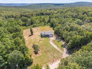 476 Jimmy Mitchell Rd, Mountain View, AR 72560 - photo 3