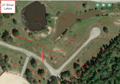 21 Silver Lakes Dr, Huntsville, TX 77340 - photo 2