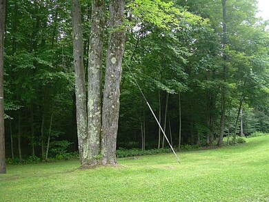 Yard/Garden.