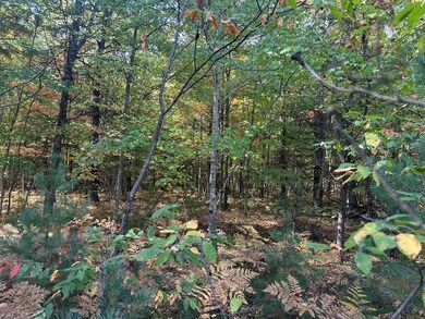 PAR A 16th St, Baldwin, MI 49304 - photo 4