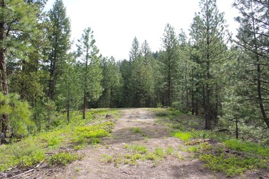 Looking Back at Potential Pad Site