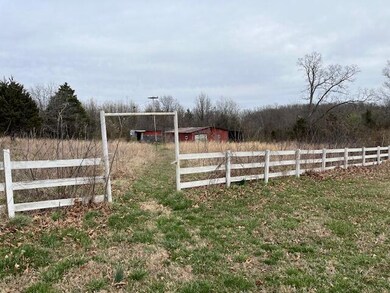 IMG_3173