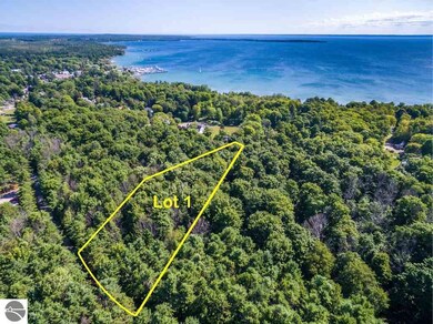 0 N Vincer Way unit 1 1878399, Northport, MI 49670 - photo 2