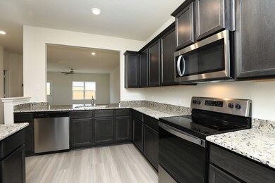 Polished granite counters make a beautiful workspace for making and serving meals.