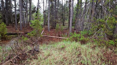 Camp Lot 100 Yards From The Payette River