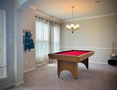 10718 Lake Thomas Dr, Needville, TX 77461 - photo 4