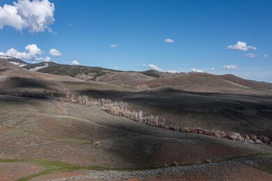 DJI_0696
