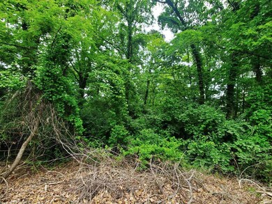 Lot view 1