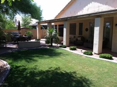 Backyard view 2