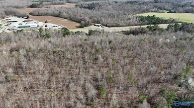 23 N George Adams Rd, Hytop, AL 35768 - photo 5