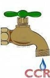 Water for your Greenery?