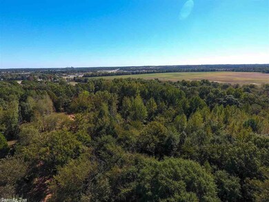 0 Purnell, Bono, AR 72416 - photo 2