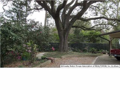 Several historic oaks that have been beautifully m