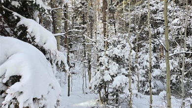 Lot 5540 Joy Rd, Fort Garland, CO 81133 - photo 6