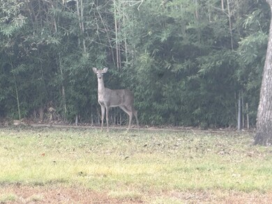 103 Jefferson St, Kerrville, TX 78028 - photo 5