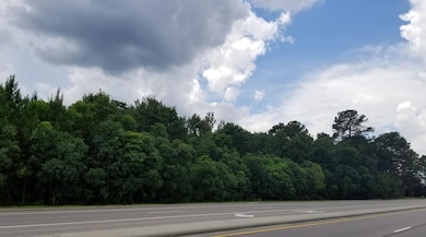 Lot1 and 2 Hwy 42 E, Petal, MS 39465 - photo 3