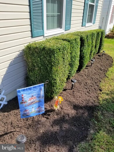 3732 9th St, North Beach, MD 20714 - photo 4