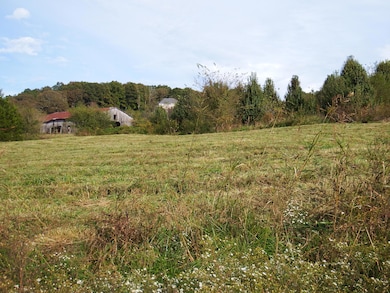 DSCF3082