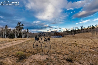 2387 Buffalo Ridge Rd, Como, CO 80432 - photo 4