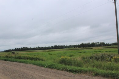TBD 310th St, Little Elk Township, MN 56438 - photo 6