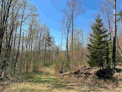 00 Deep Gibou Rd, Montgomery, VT 05471 - photo 5