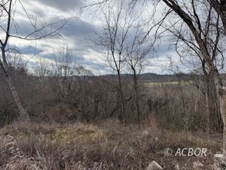 15750 Bryson Rd, Millfield, OH 45761 - photo 6