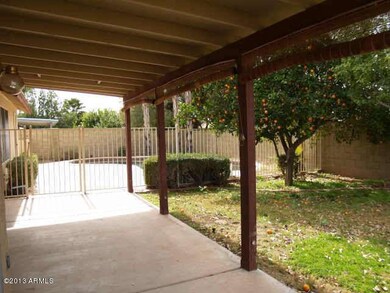 18856 rear yard