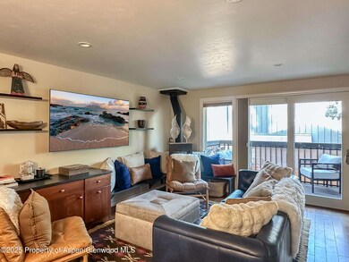 720 W Hopkins Ave unit D, Aspen, CO 81611 - photo 5