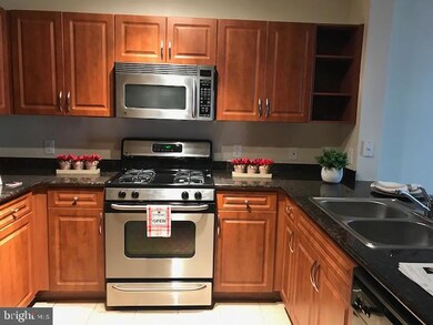 12917 Centre Park Cir unit 312, Herndon, VA 20171 - photo 3