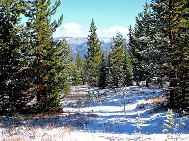 Lot 23 Beaver Creek W, Big Sky, MT 59716 - photo 5