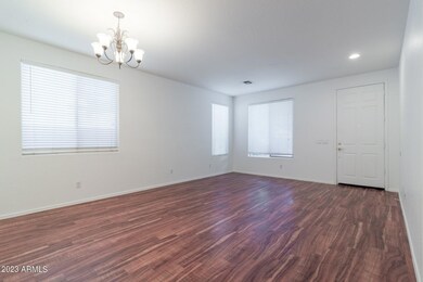 Kingbird (4).jpg-SMALL