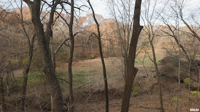 0000 W Smithville Rd, Trivoli, IL 61569 - photo 3