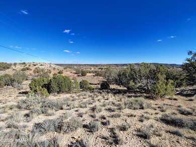 Parcel 1 W Shumway Rd, Taylor, AZ 85901 - photo 6