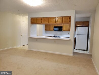2706 Snowbird Terrace unit 3, Silver Spring, MD 20906 - photo 4