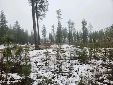 NNA N Sylvan Ln, Athol, ID 83801 - photo 4