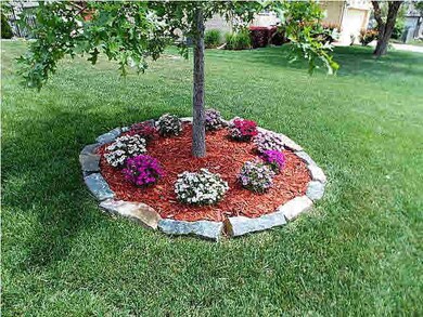 Stopy By and Note all the Flower Beds