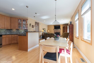 2031 S Wolf Rd, Des Plaines, IL 60018 - photo 3